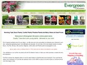 Evergreen Growers